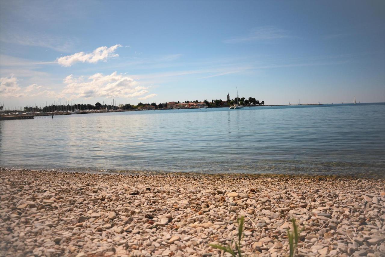 Villa Vienna Novigrad Istria Esterno foto