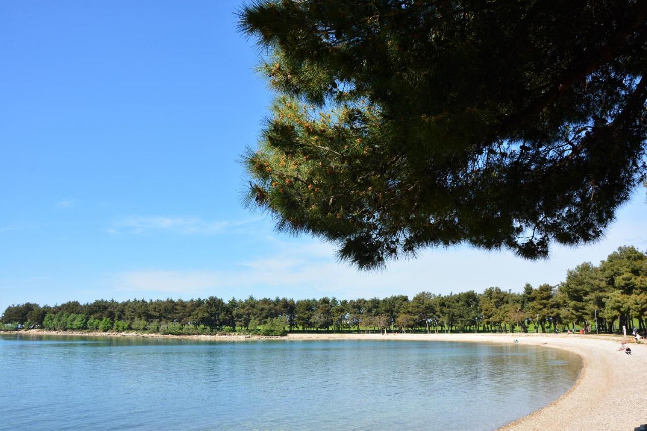 Villa Vienna Novigrad Istria Esterno foto