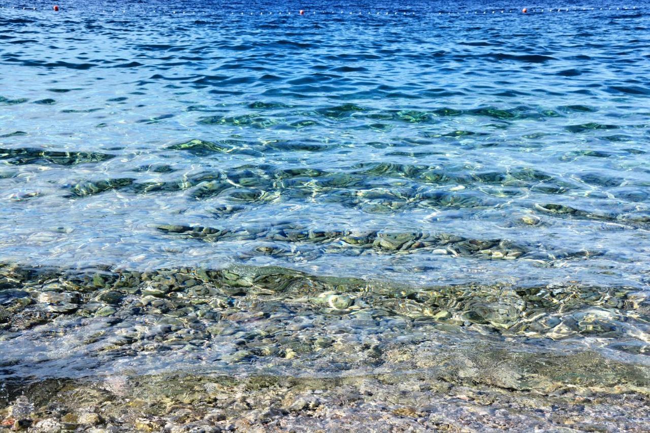Villa Vienna Novigrad Istria Esterno foto