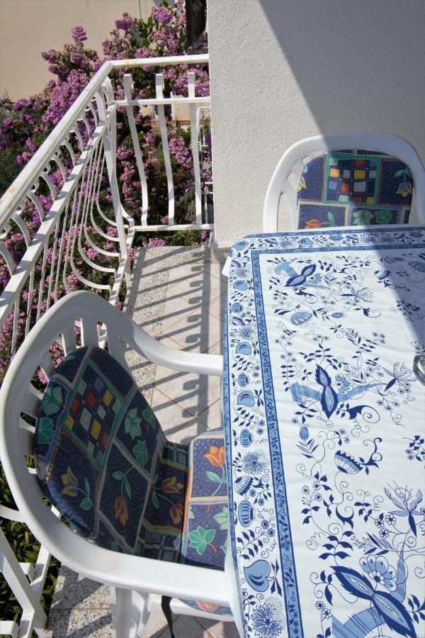 Villa Vienna Novigrad Istria Esterno foto